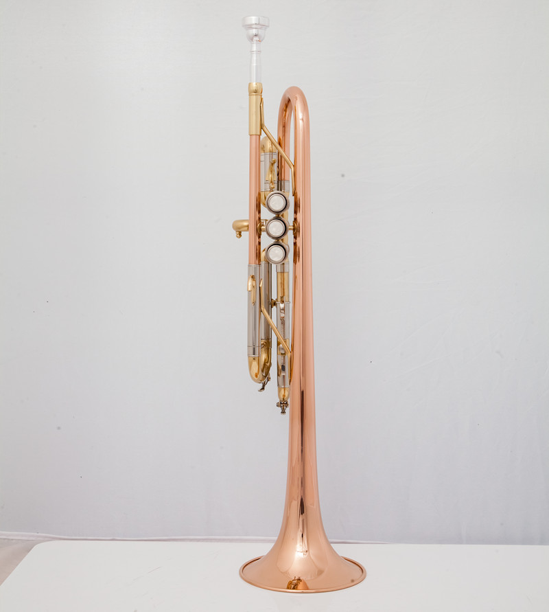 Instrumentos musicales profesi - Musical Instrument Bugle reseña y precio