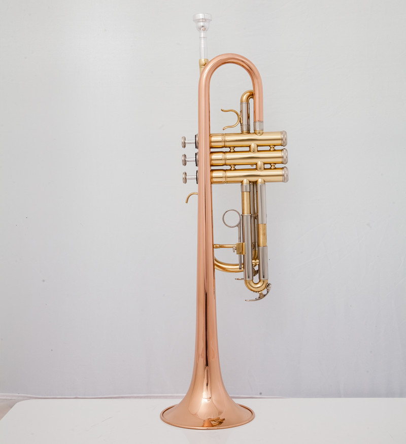 Instrumentos musicales profesi - Musical Instrument Bugle reseña y precio