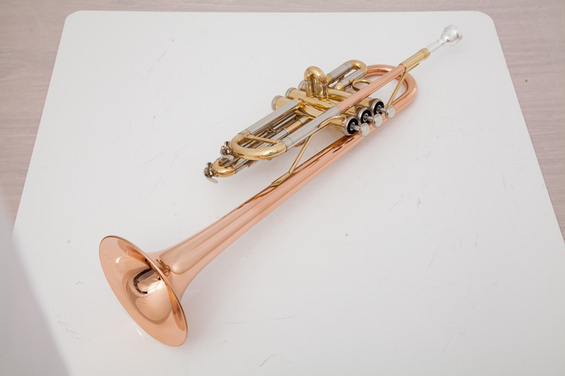 Instrumentos musicales profesi - Musical Instrument Bugle reseña y precio